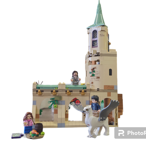 LEGO 76401: Hogwarts Courtyard: Sirius’s Rescue