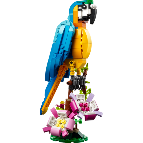 31136: Exotische papegaai