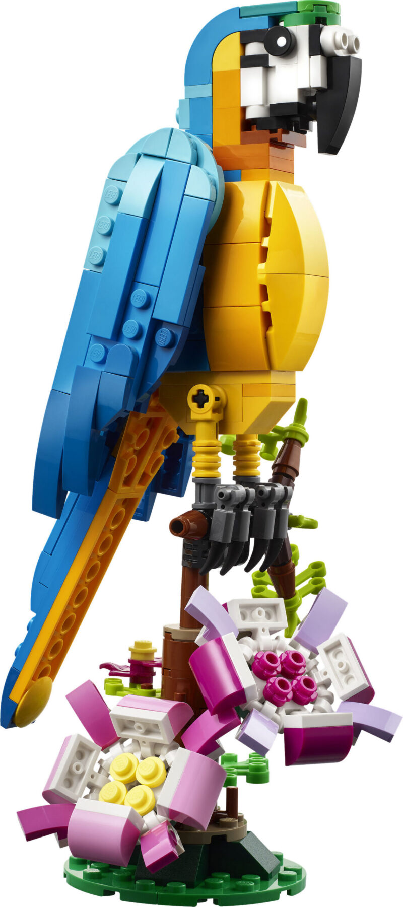 LEGO 31136: Exotische papegaai - Afbeelding 2