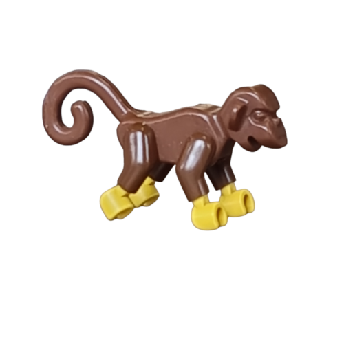 2550c01 Monkey with Yellow Hands and Feet