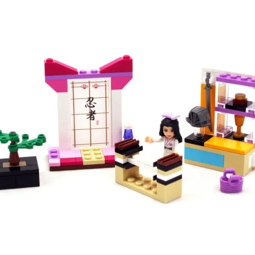 LEGO 41002: Emma’s Karate Class