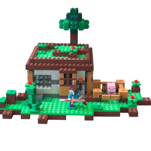 LEGO 21115: The First Night